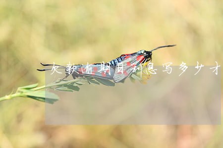 欠款逾期日利息写多少才合法 欠款逾期日利息写多少才合法