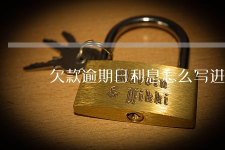 欠款逾期日利息怎么写进欠条里面