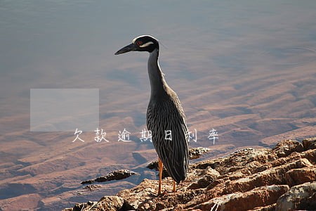 欠款逾期日利率 欠款逾期日利率