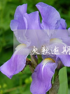 欠款逾期日违约金 欠款逾期日违约金
