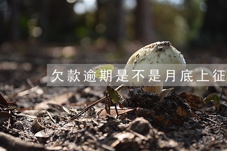 欠款逾期是不是月底上征信 欠款逾期是不是月底上征信