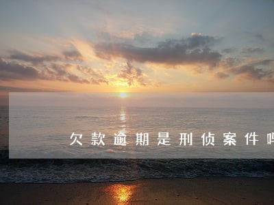 欠款逾期是刑侦案件吗 欠款逾期是刑侦案件吗