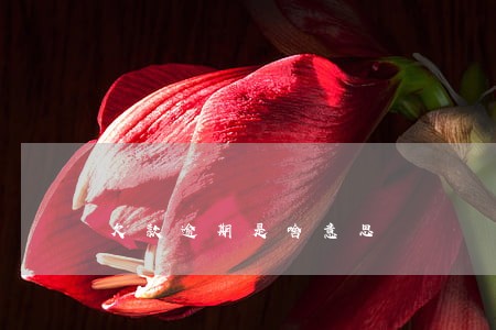 欠款逾期是啥意思 欠款逾期是啥意思