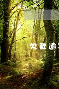 欠款逾期暂时还不了以后可以还吗 欠款逾期暂时还不了以后可以还吗