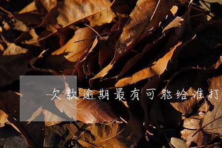 欠款逾期最有可能给谁打电话