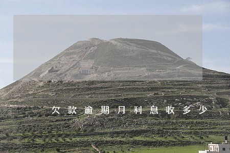 欠款逾期月利息收多少 欠款逾期月利息收多少