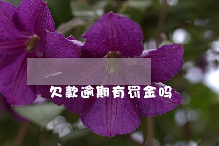 欠款逾期有罚金吗 欠款逾期有罚金吗