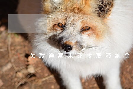 欠款逾期未交收取滞纳金函 欠款逾期未交收取滞纳金函