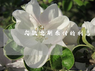 欠款逾期未付的利息