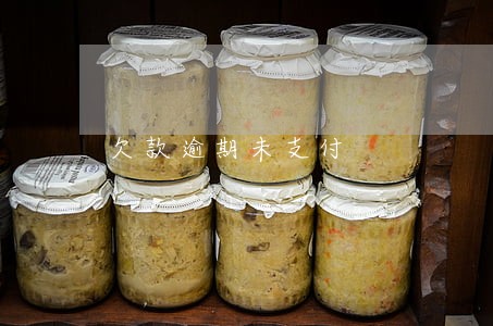 欠款逾期未支付
