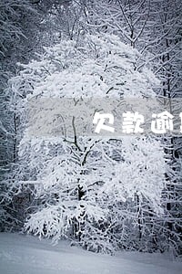 欠款逾期未经本人同意联系家里人 欠款逾期未经本人同意联系家里人