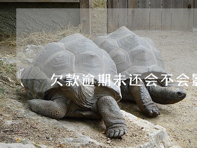 欠款逾期未还会不会影响子女 欠款逾期未还会不会影响子女