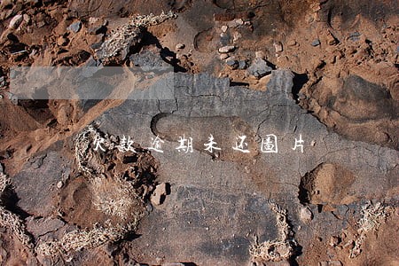 欠款逾期未还图片