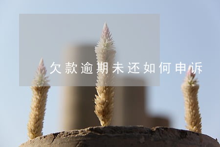 欠款逾期未还如何申诉 欠款逾期未还如何申诉
