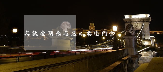 欠款逾期未还怎么要违约金 欠款逾期未还怎么要违约金