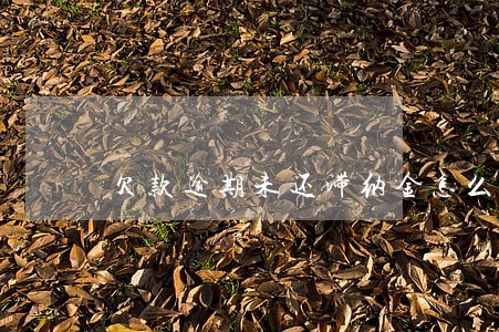 欠款逾期未还滞纳金怎么写 欠款逾期未还滞纳金怎么写