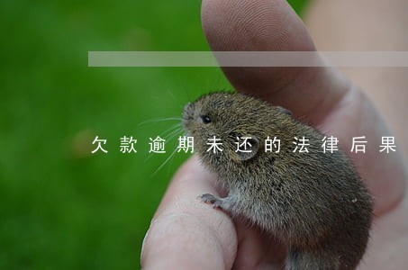 欠款逾期未还的法律后果