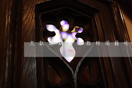欠款逾期未还能转国籍吗 欠款逾期未还能转国籍吗