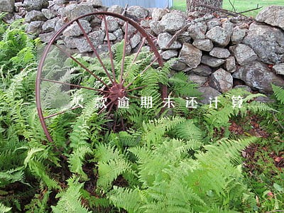 欠款逾期未还计算 欠款逾期未还计算