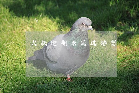 欠款逾期未还过桥贷 欠款逾期未还过桥贷