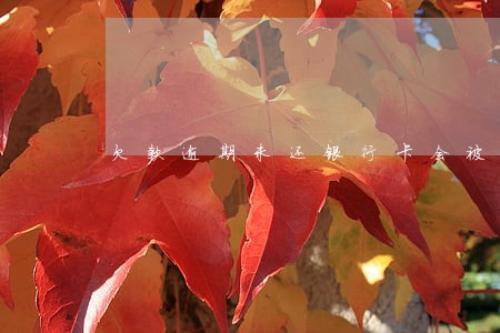 欠款逾期未还银行卡会被冻结吗 欠款逾期未还银行卡会被冻结吗