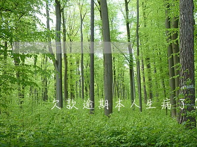 欠款逾期本人生病了怎么办