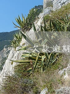 欠款逾期村子人都知道了 欠款逾期村子人都知道了