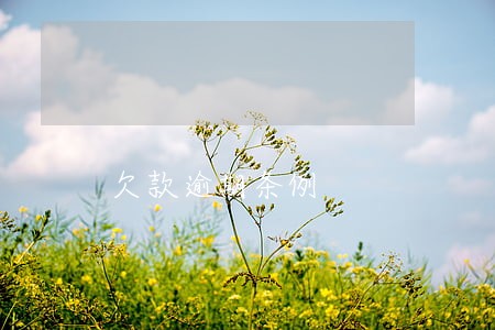 欠款逾期条例 欠款逾期条例