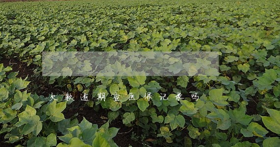欠款逾期查医保记录吗