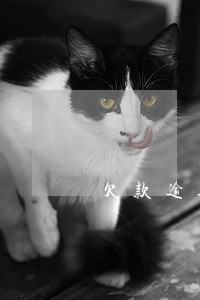 欠款逾期案件将递交诉讼 欠款逾期案件将递交诉讼