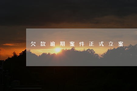 欠款逾期案件正式立案 欠款逾期案件正式立案