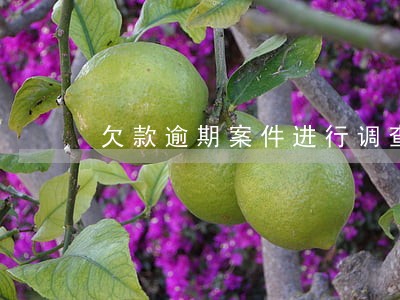 欠款逾期案件进行调查 欠款逾期案件进行调查