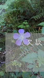 欠款逾期正式立案 欠款逾期正式立案