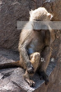 欠款逾期正确的做法 欠款逾期正确的做法