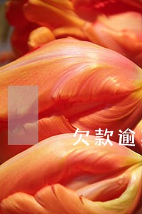欠款逾期每日 欠款逾期每日