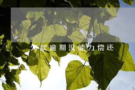 欠款逾期没能力偿还 欠款逾期没能力偿还