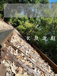 欠款逾期没还可以报名学历晋升吗 欠款逾期没还可以报名学历晋升吗