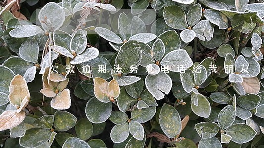 欠款逾期法务处电话给我朋友 欠款逾期法务处电话给我朋友