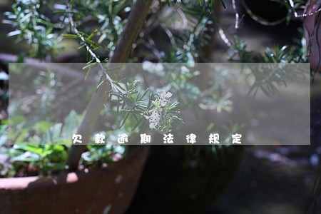 欠款逾期法律规定 欠款逾期法律规定
