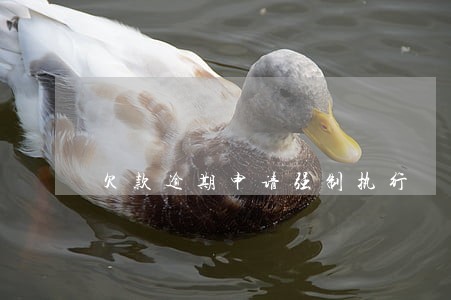 欠款逾期申请强制执行 欠款逾期申请强制执行