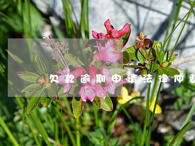 欠款逾期申请法律仲裁 欠款逾期申请法律仲裁