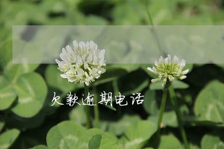 欠款逾期电话 欠款逾期电话