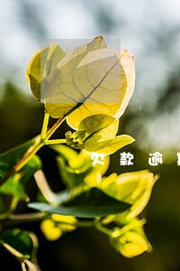 欠款逾期电话会被设置彩铃吗 欠款逾期电话会被设置彩铃吗