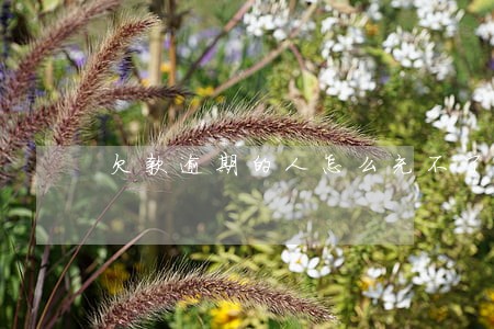 欠款逾期的人怎么充不了话费 欠款逾期的人怎么充不了话费