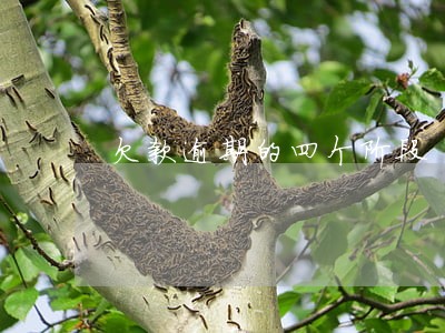 欠款逾期的四个阶段