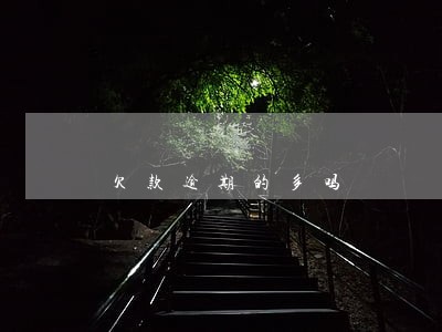 欠款逾期的多吗 欠款逾期的多吗