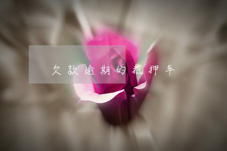 欠款逾期的抵押车 欠款逾期的抵押车