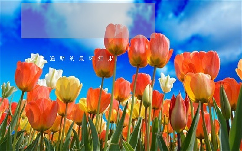 欠款逾期的最坏结果 欠款逾期的最坏结果