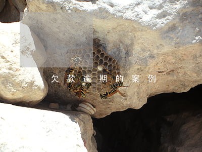 欠款逾期的案例 欠款逾期的案例