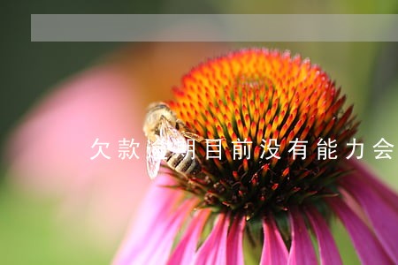 欠款逾期目前没有能力会被坐牢吗 欠款逾期目前没有能力会被坐牢吗